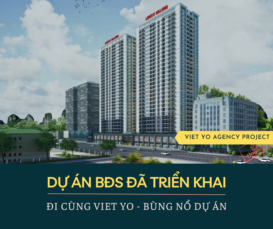 Các dự án BĐS mà Viet Yo Agency đã thực hiện.